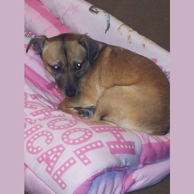 Photo of Ruby 