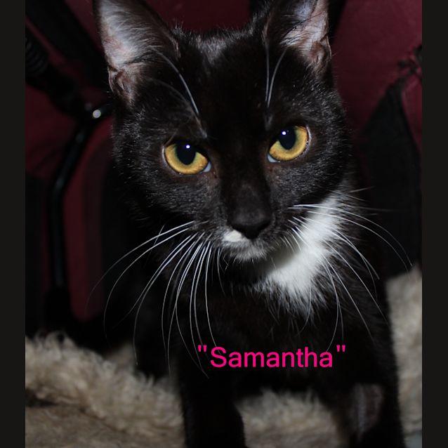 Photo of Samantha