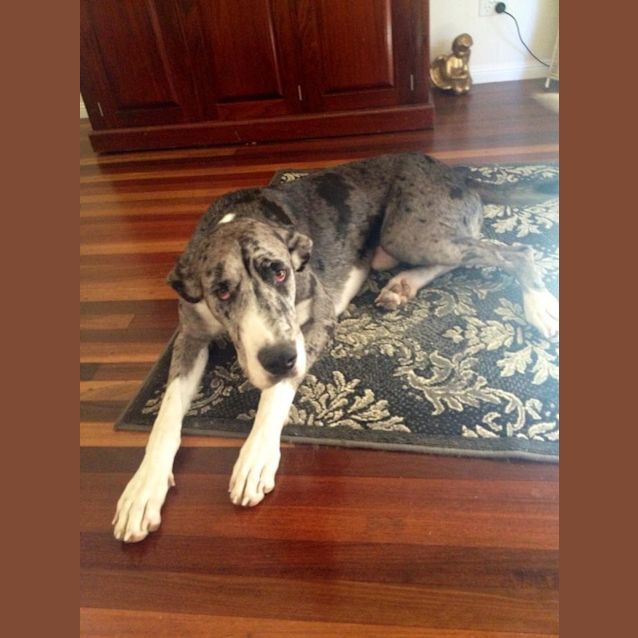 Photo of Maverick
