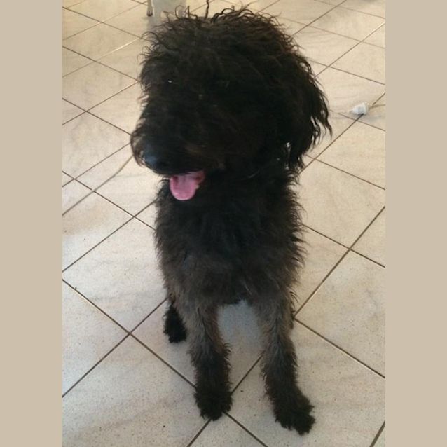 Photo of Charlee