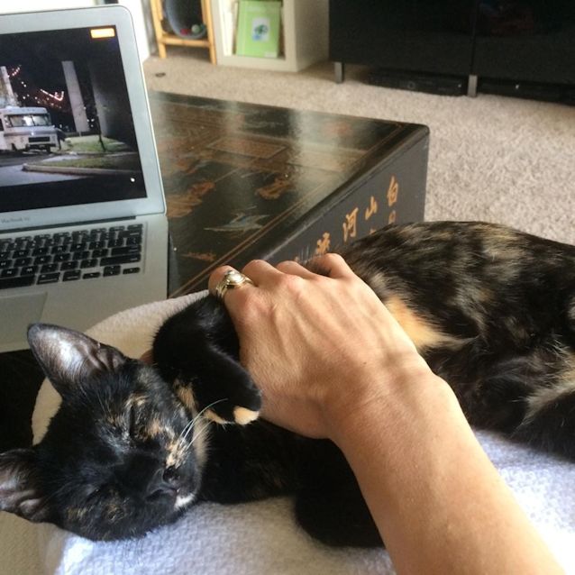 Photo of Charlie & Muffin 