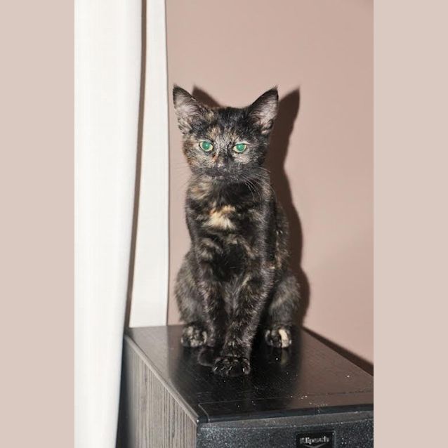 Photo of Cutie