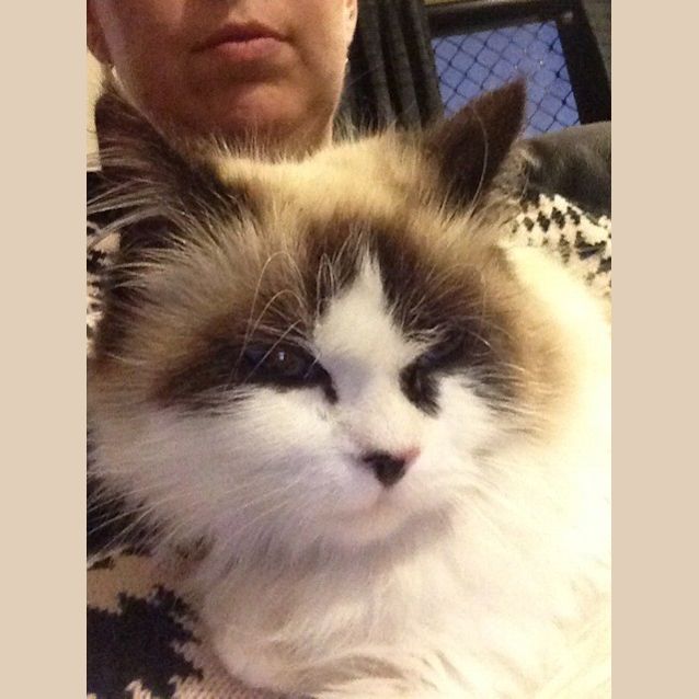 Photo of Anastasia