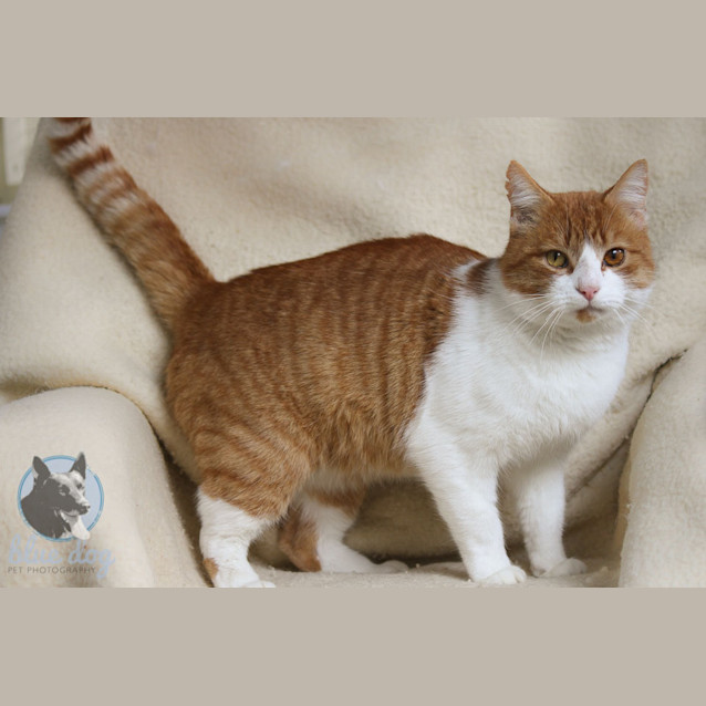 Photo of Zeus (C697)