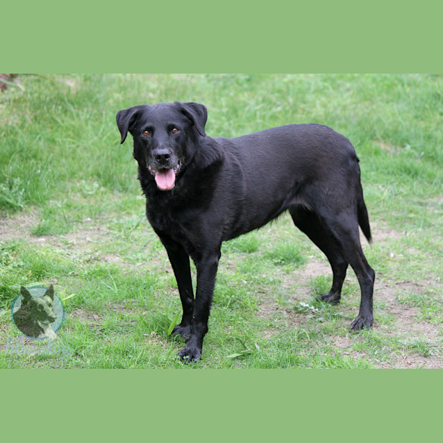 Photo of Lizzy (Senior Girl)