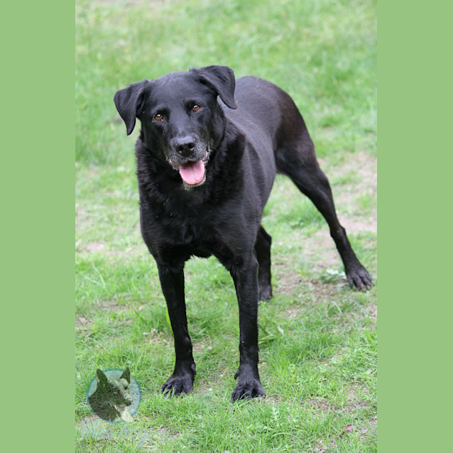 Photo of Lizzy (Senior Girl)