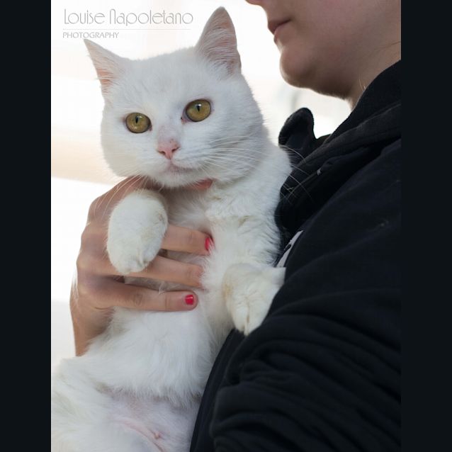 Photo of Peggy Sue
