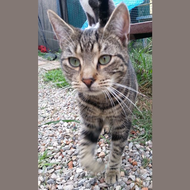 Photo of Jimmy (Jimbo)