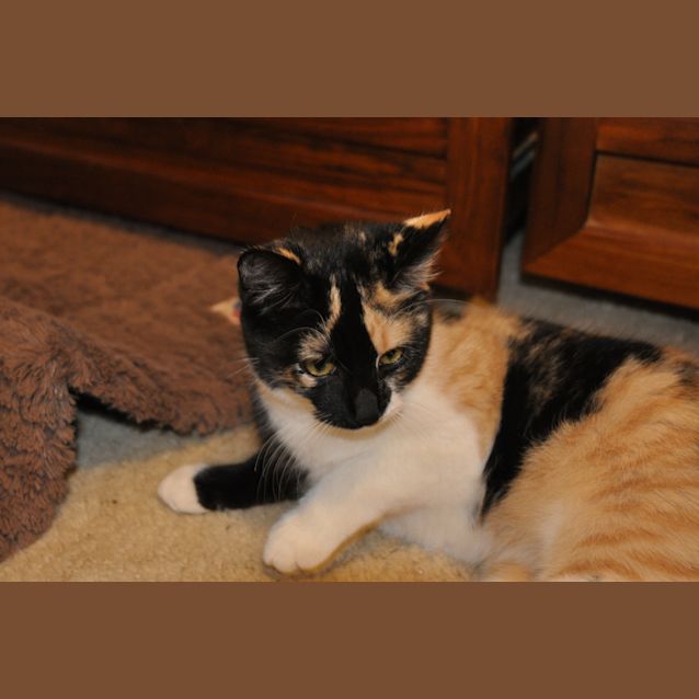 Photo of Lola
