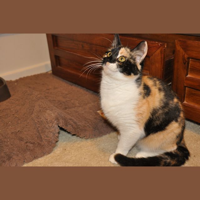 Photo of Lola