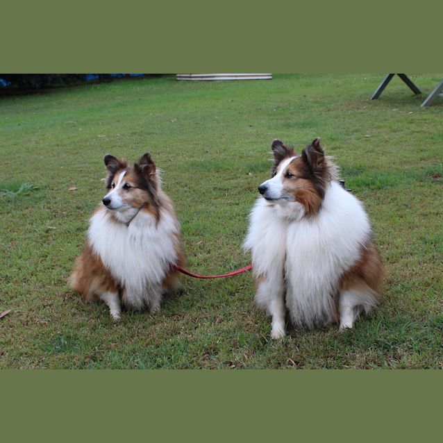 Photo of Bonnie & Heather