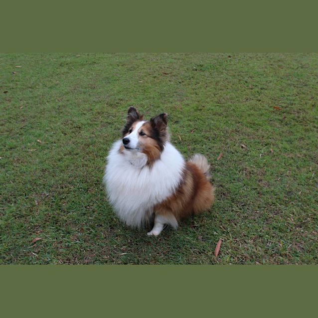 Photo of Bonnie & Heather