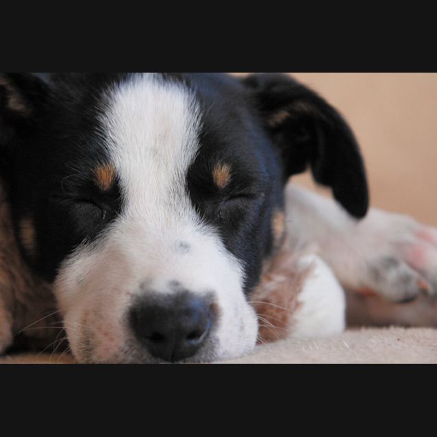 Photo of Jack