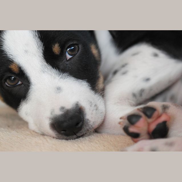 Photo of Jack