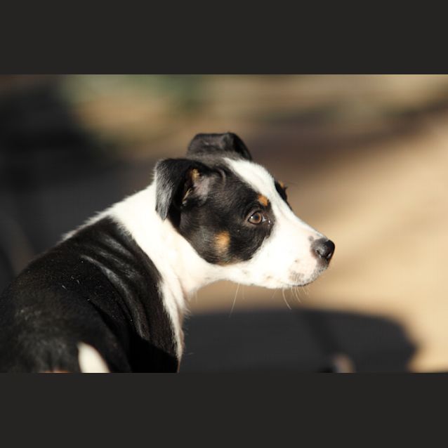 Photo of Jack