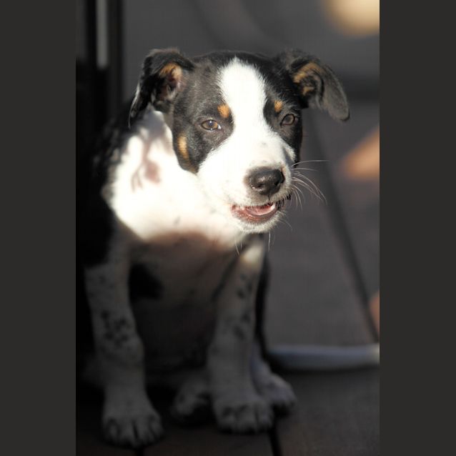 Photo of Jack