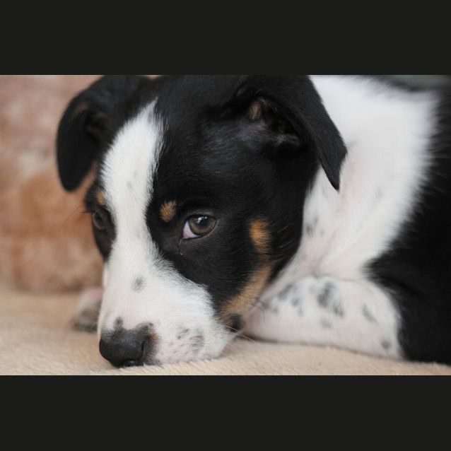 Photo of Jack