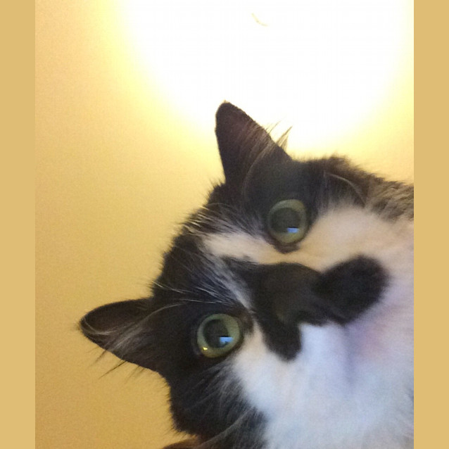 Photo of Wizard *Discounted For September*