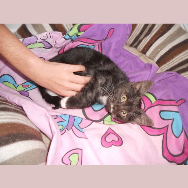 Photo of Ghost