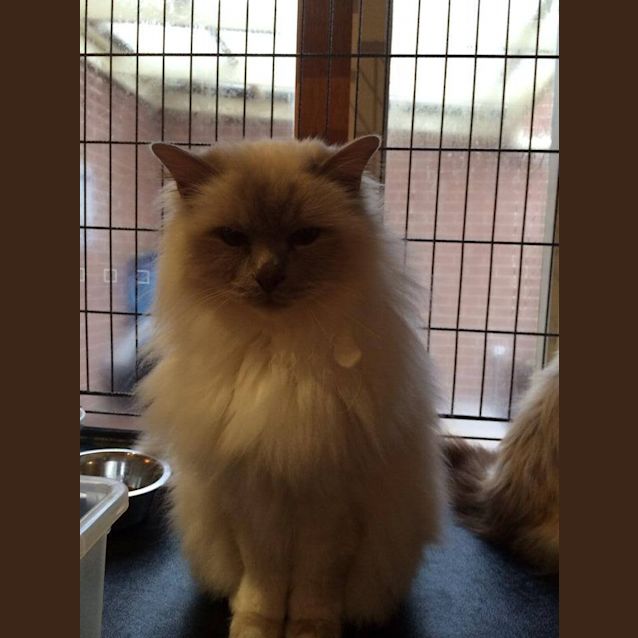 Photo of Zeus