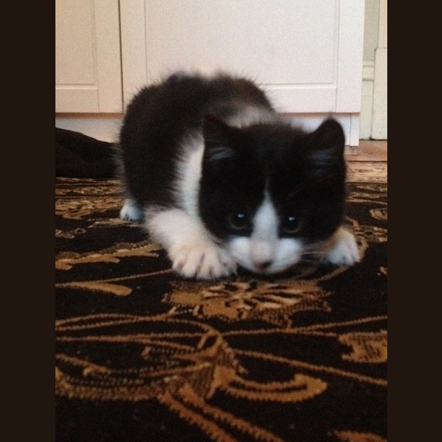 Photo of Eli