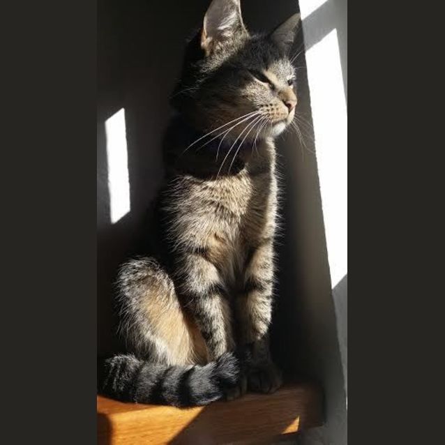 Photo of Ellie (Eillish)