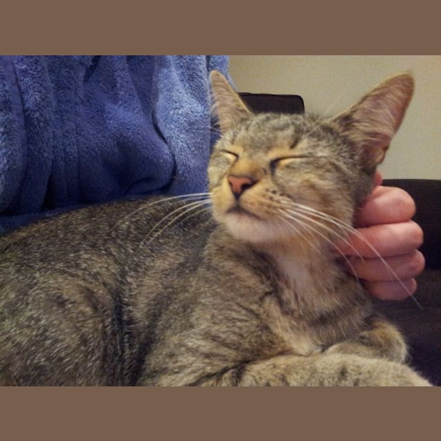 Photo of Ellie (Eillish)