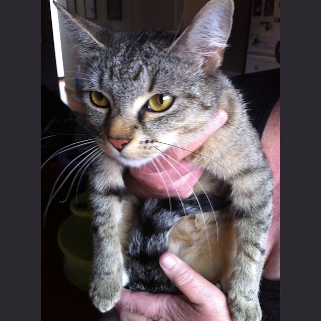 Photo of Ellie (Eillish)