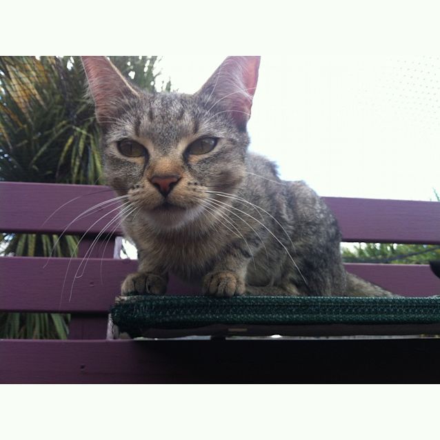 Photo of Ellie (Eillish)