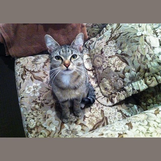 Photo of Ellie (Eillish)