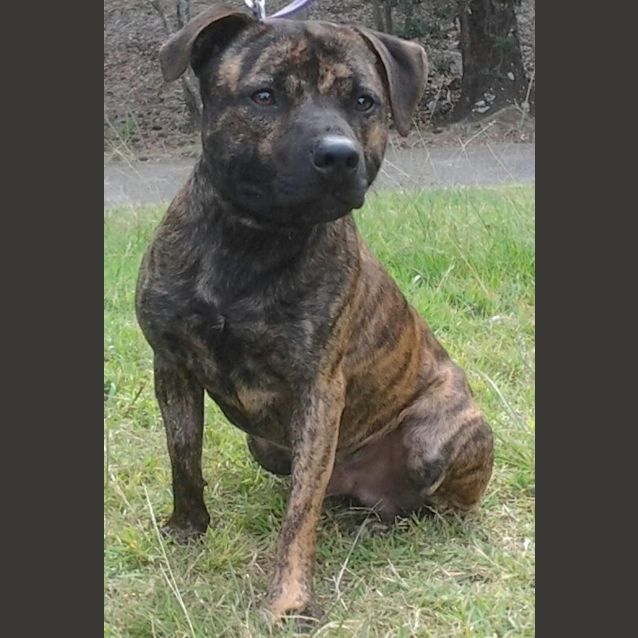 Photo of 091 3524 Axle