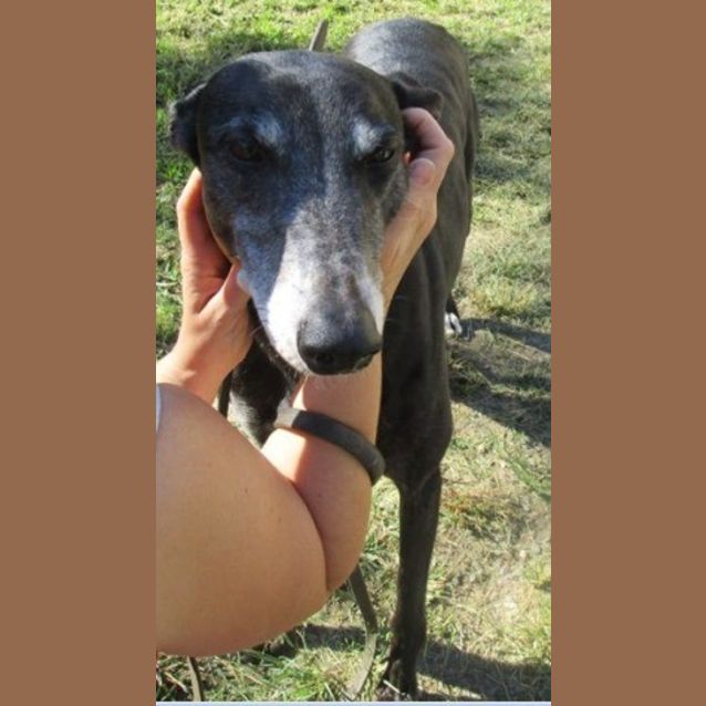 Photo of Easy Going "Sapphire".  Brisbane Based