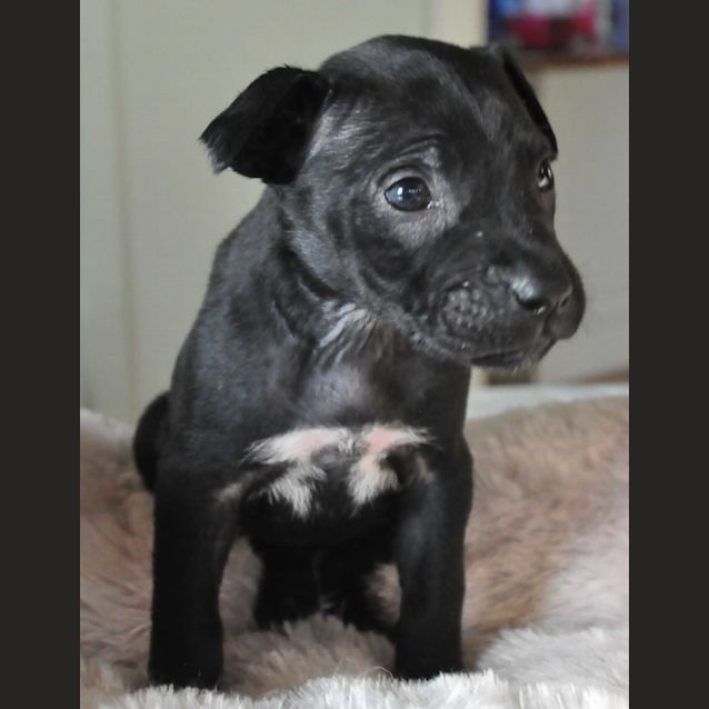 Photo of Peppa