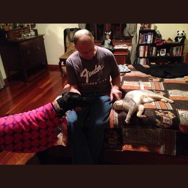 Photo of Oh, "Kandy" Baby!  Cat Friendly, Brisbane