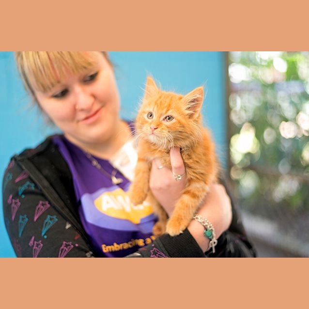 Photo of Purrathien