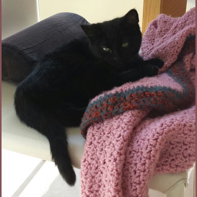 Photo of Suki