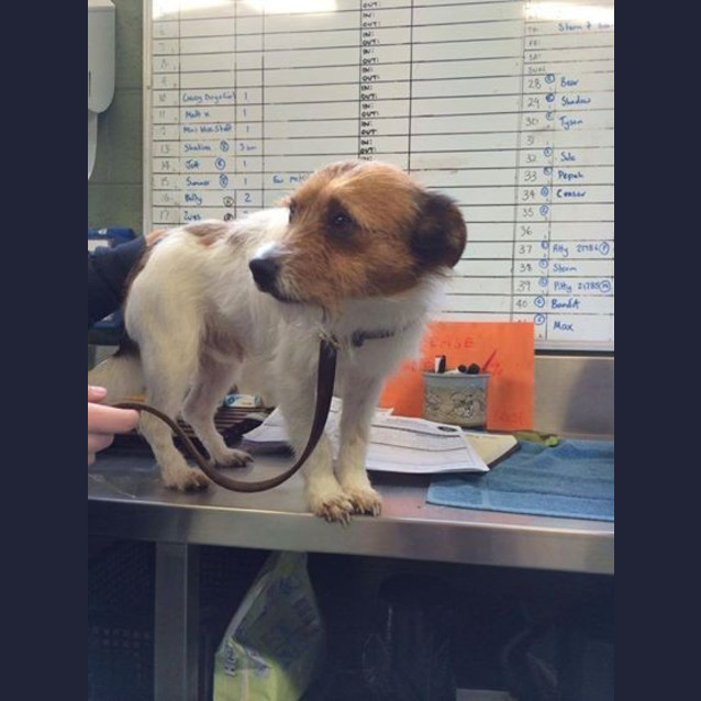 Photo of Hamish