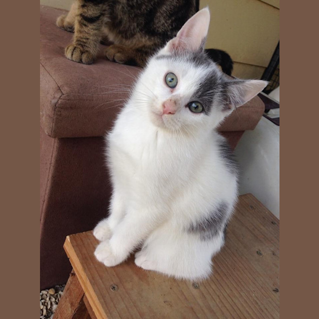 Photo of Winston