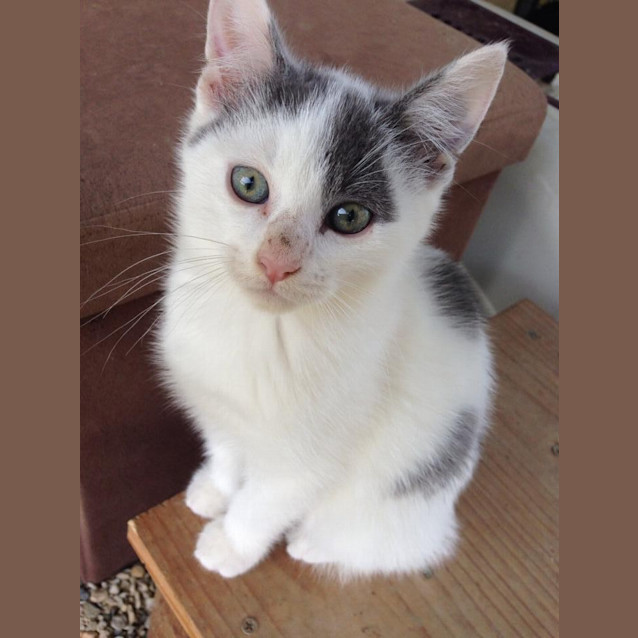 Photo of Winston