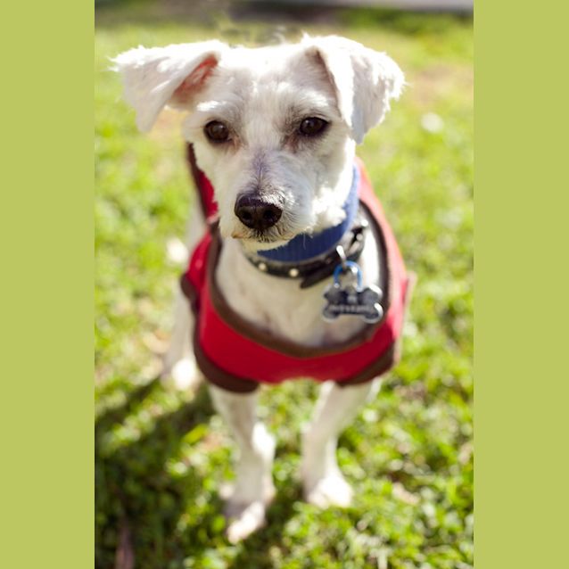 Photo of Charlie