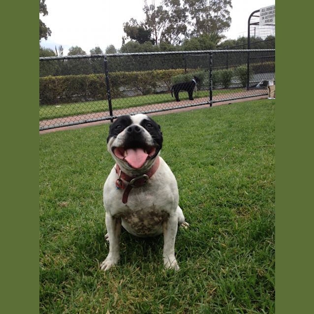 Photo of Holly