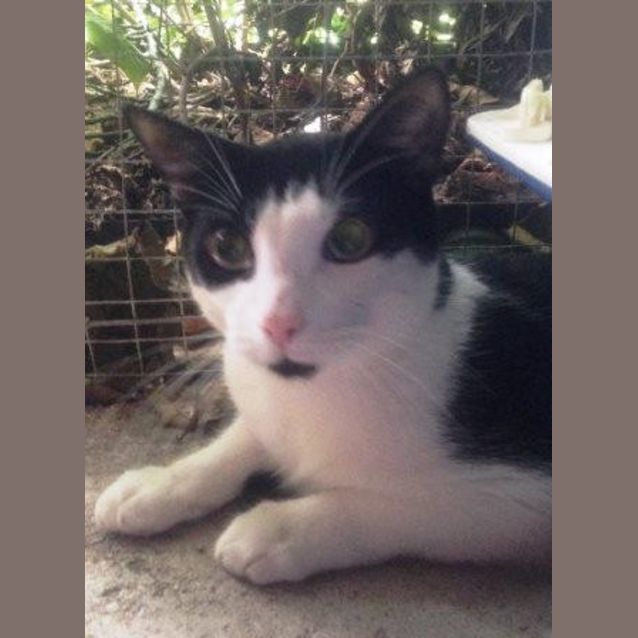 Photo of Claude