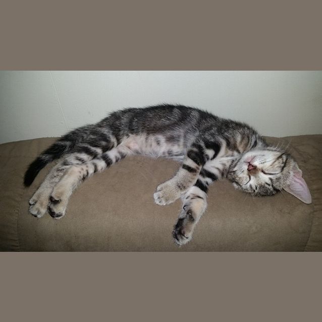 Photo of Jimbob