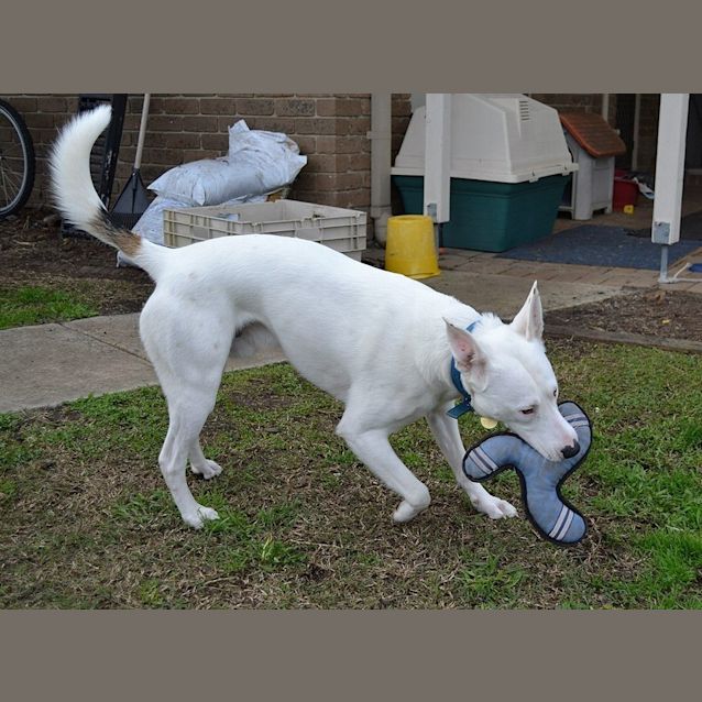 Photo of Social Zeus!