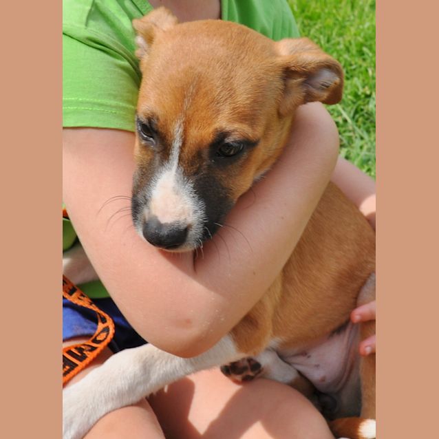 Photo of Tilly (Be D19493) 