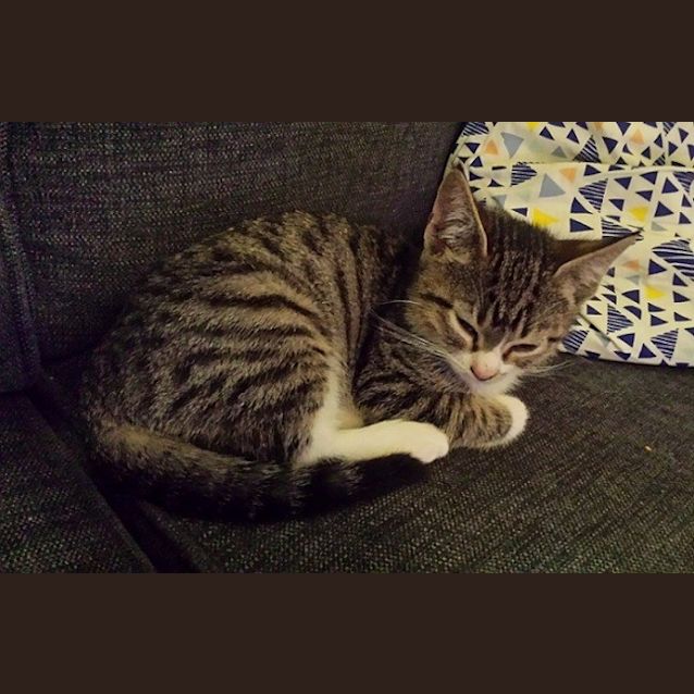 Photo of Marco