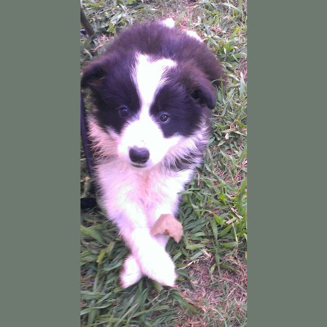 Photo of Star