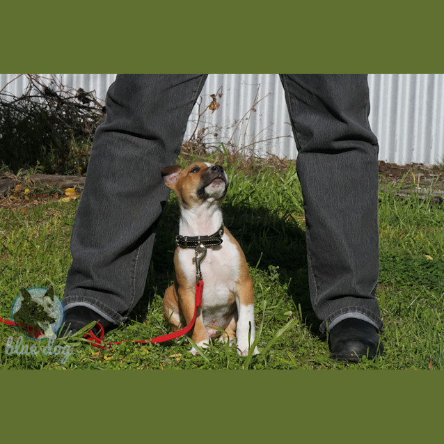 Photo of Rory (D706)