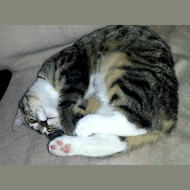 Photo of Marceline