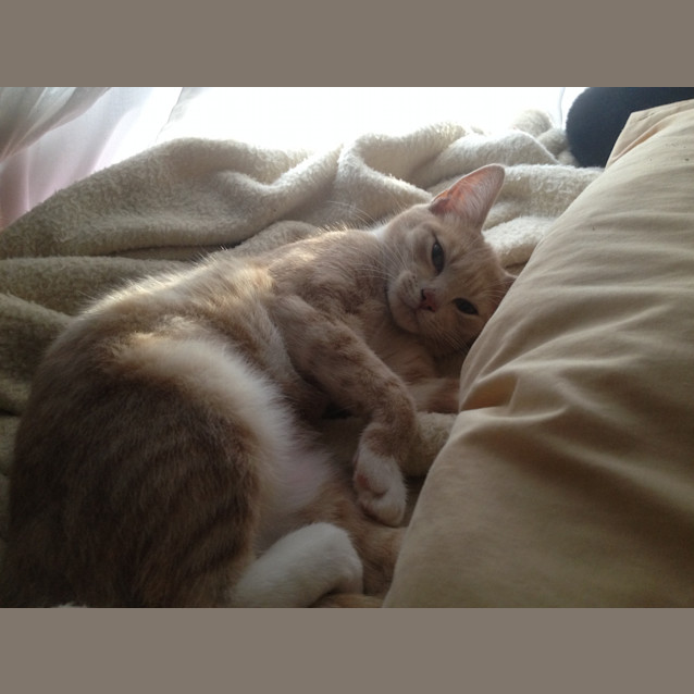 Photo of Crystal